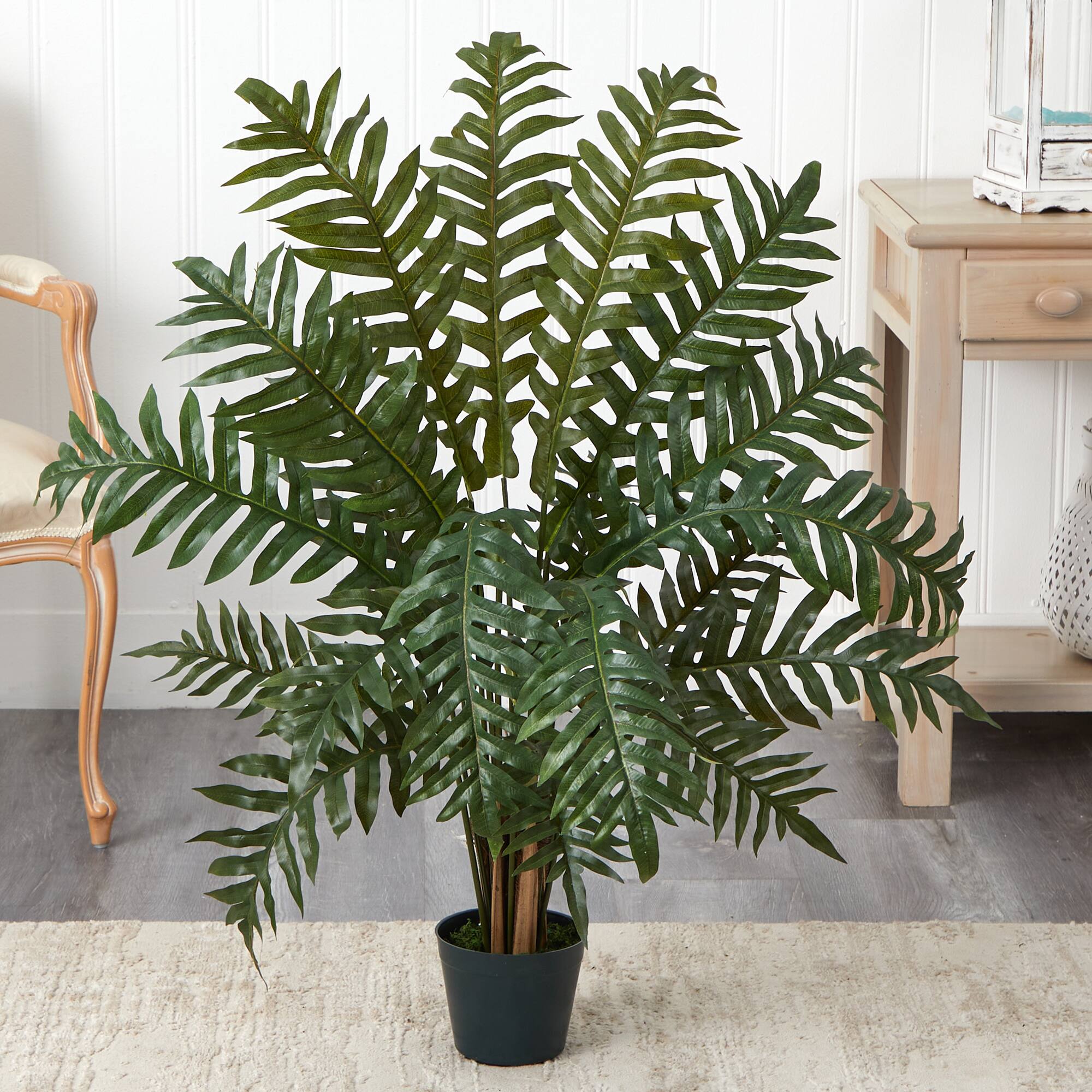 3.5ft. Potted Evergreen Tree